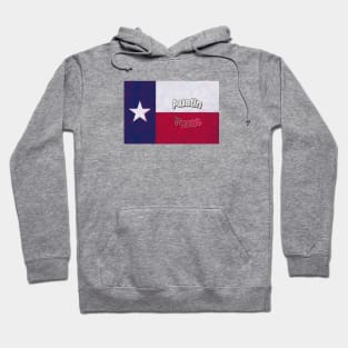 Austin Texas Flag Hoodie